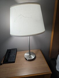 Ripped lamp shade, you can't see it but there is a long hir hanging on it