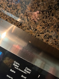 Bugs crawling out from the back of the stove