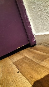 Large gap beneath the door and probably quite thin walls make for bad soundproofing. You could hear everyone walking up and down the nearby staircase. There was also a trail of ants constantly traversing our corridor.