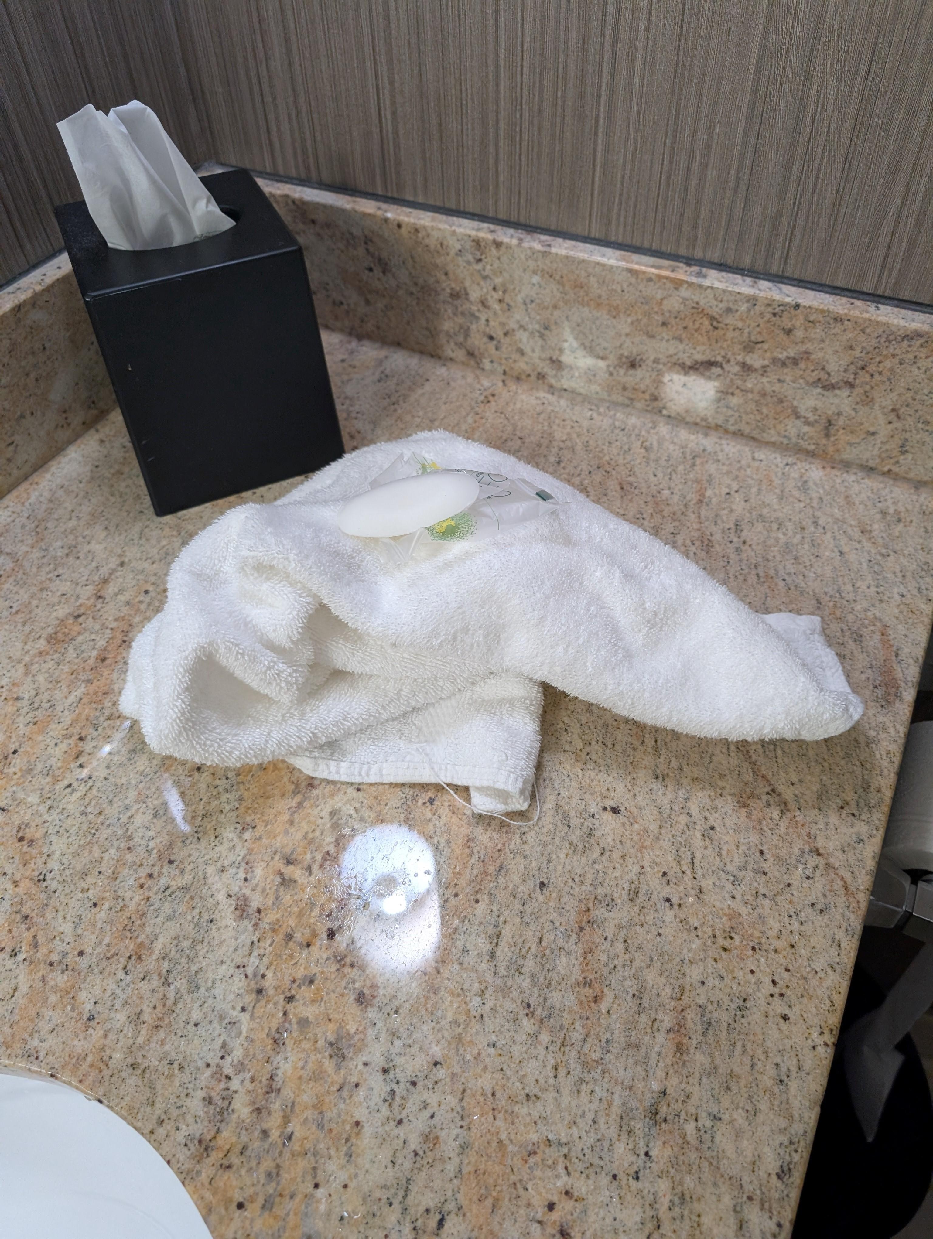 Dirty towel in room on arrival