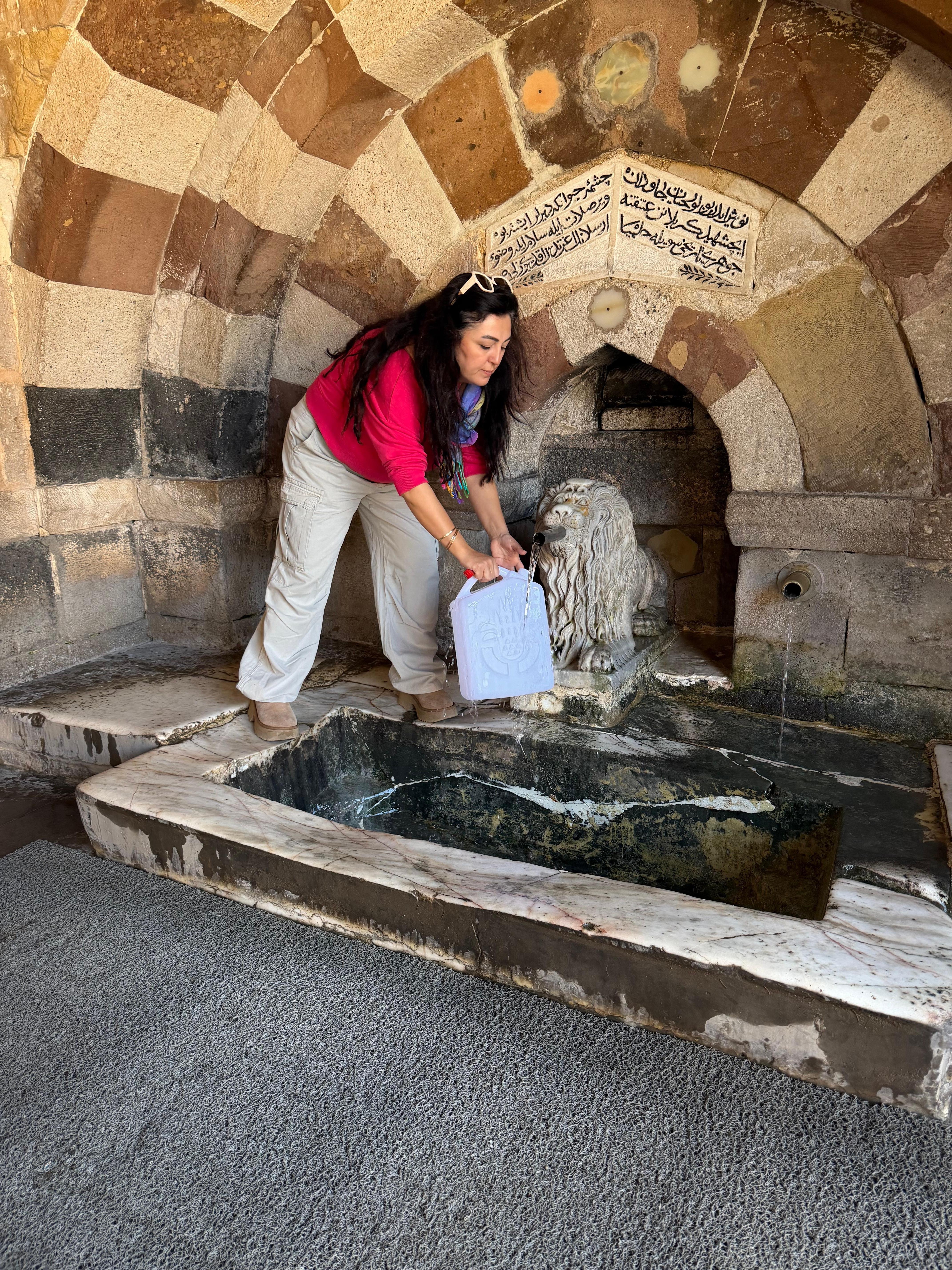 Örümcek ağı tutmuş 