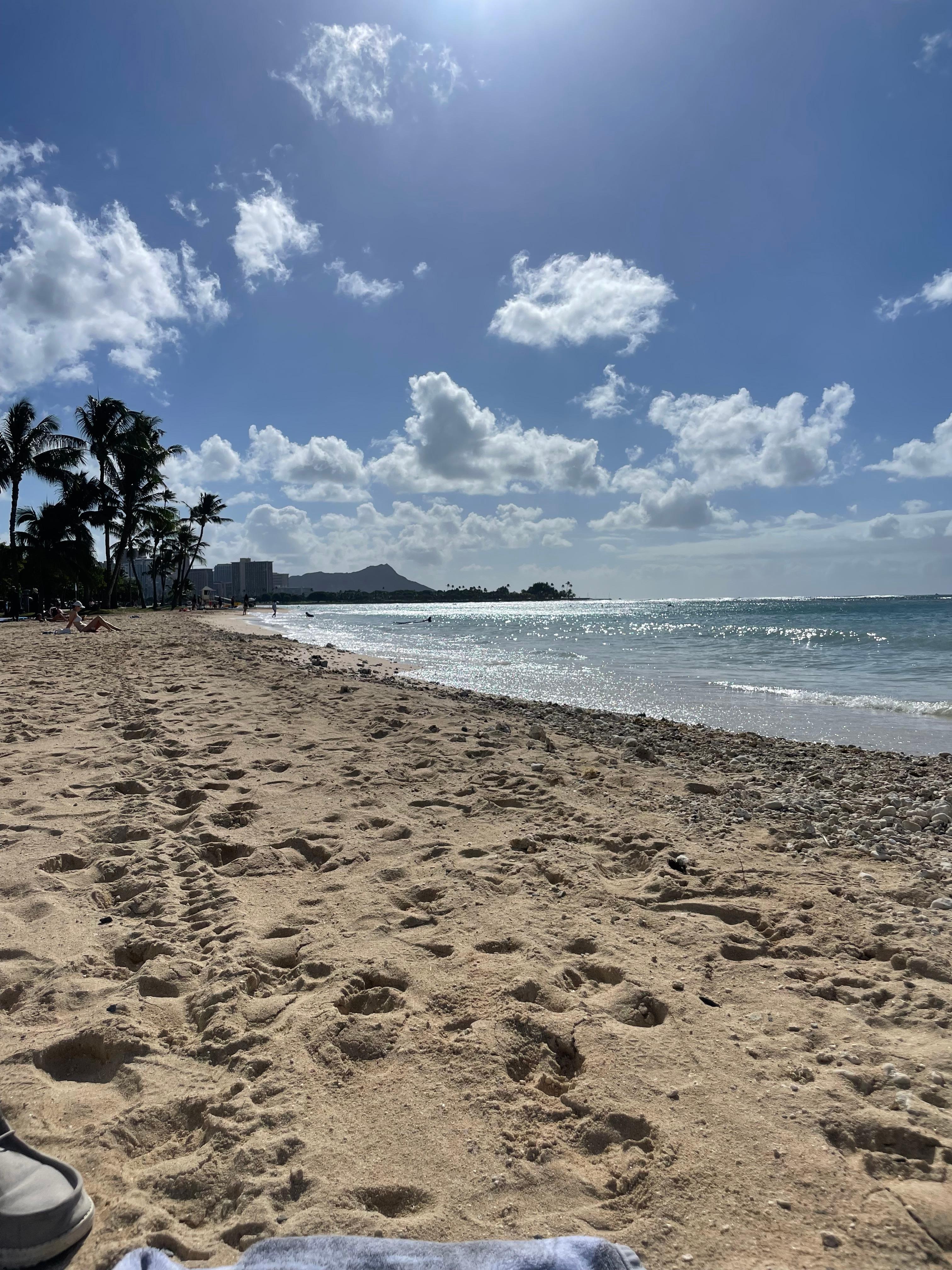 Ala Moana beach is the closest beach near  by !