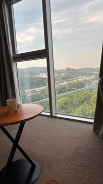 My view