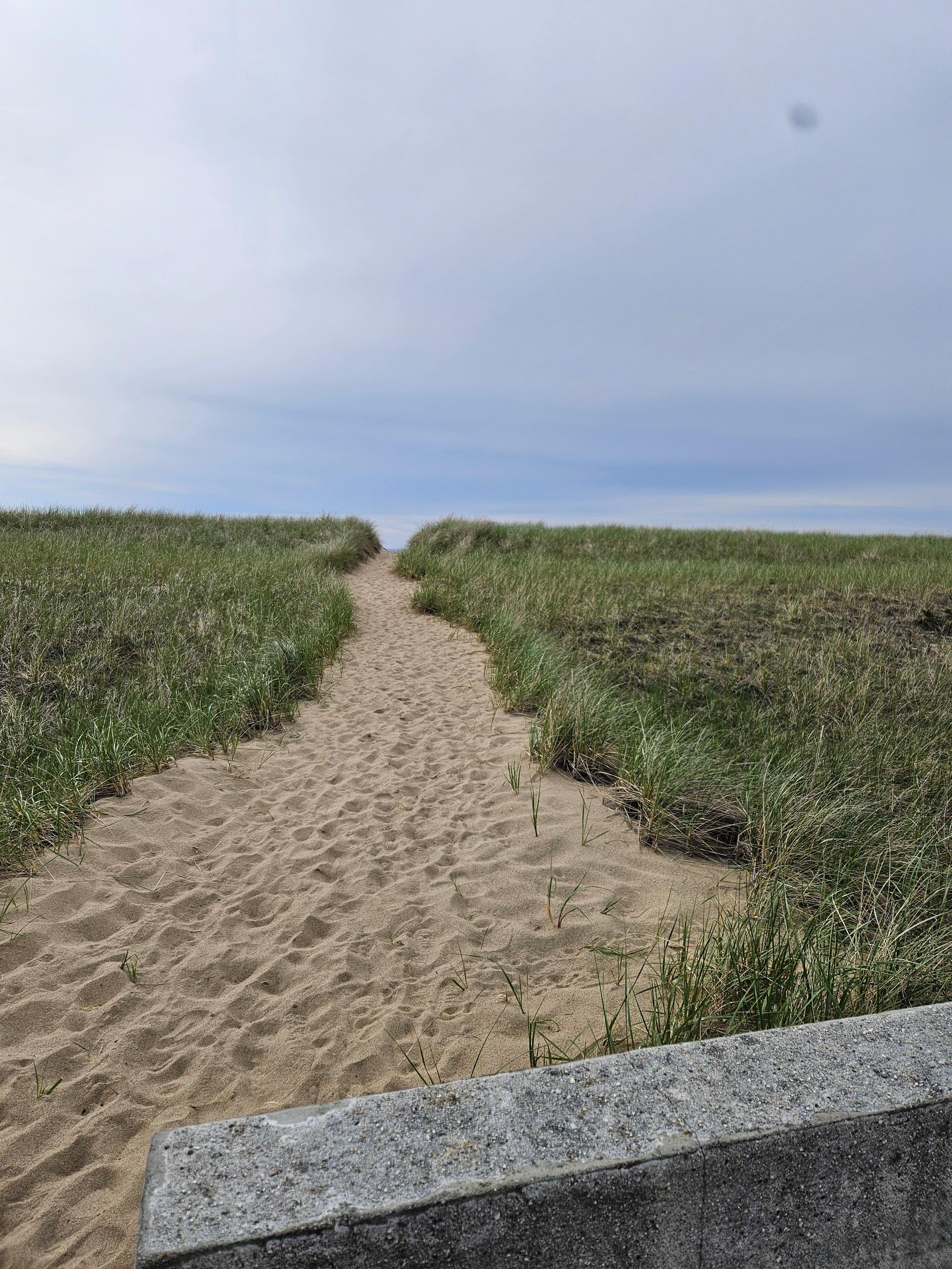 Path to the beach