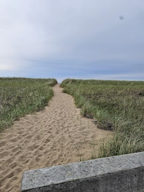 Path to the beach