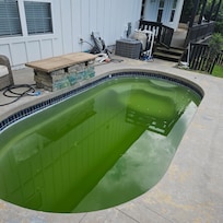 The day we showed up.