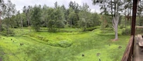 Back area of lodge