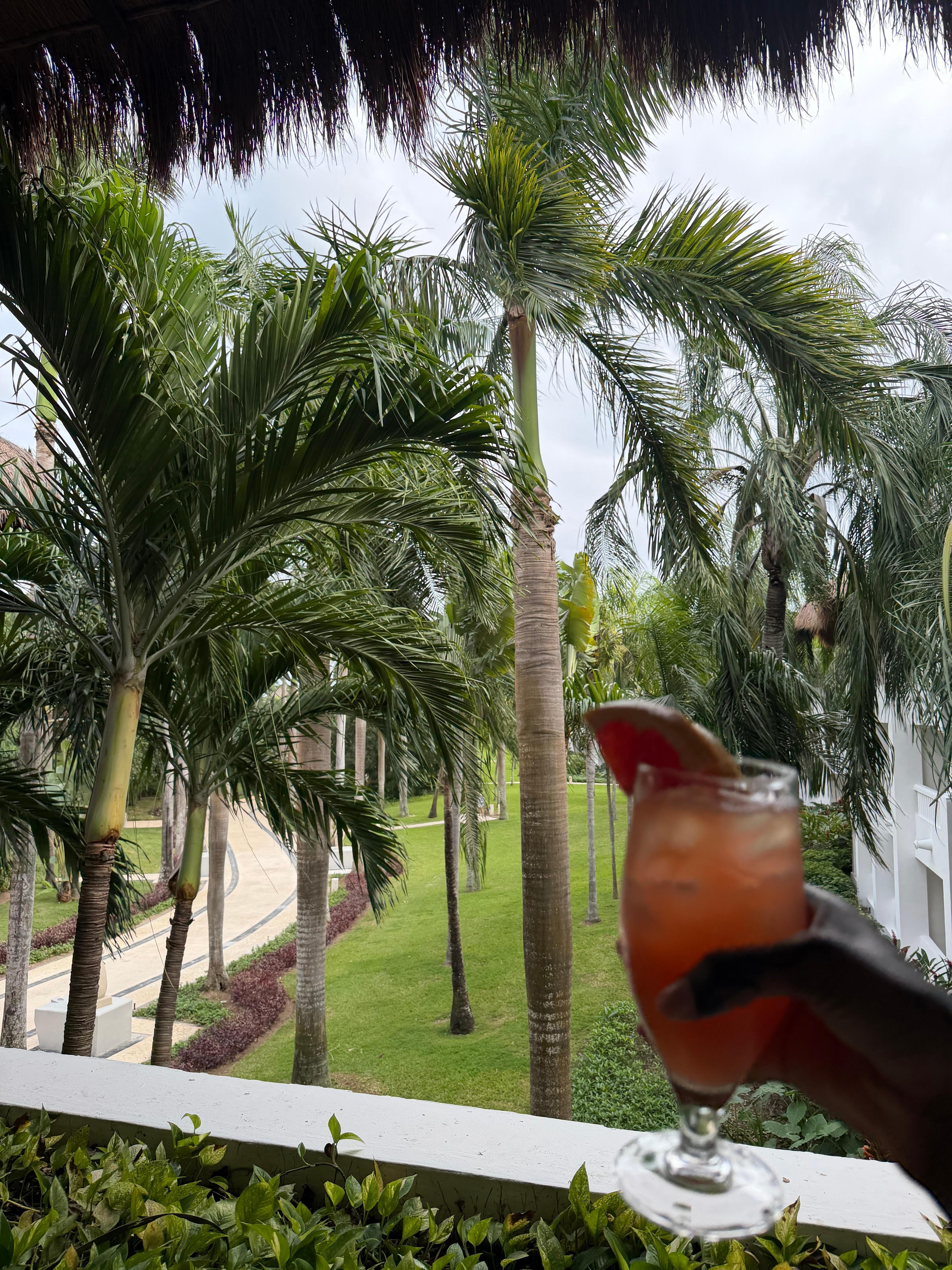 View from the bar in the main lobby (Non Alcoholic Conga pictured) 