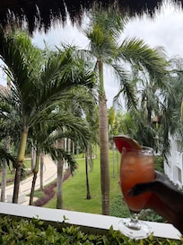 View from the bar in the main lobby (Non Alcoholic Conga pictured)