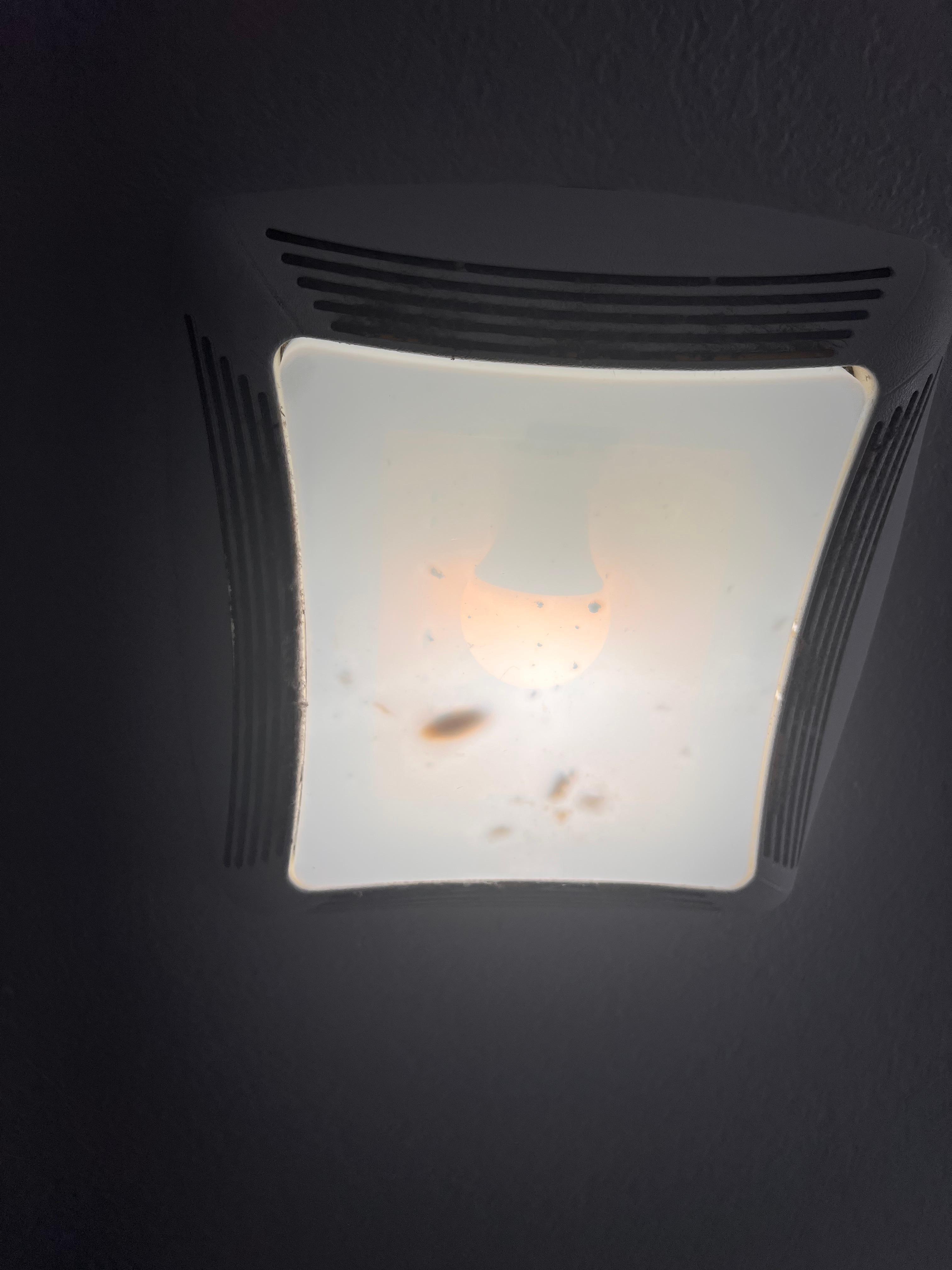 Roaches and bugs inside the light fixtures. 