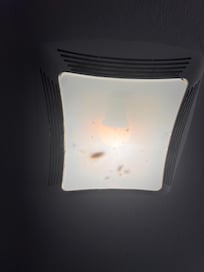 Roaches and bugs inside the light fixtures.