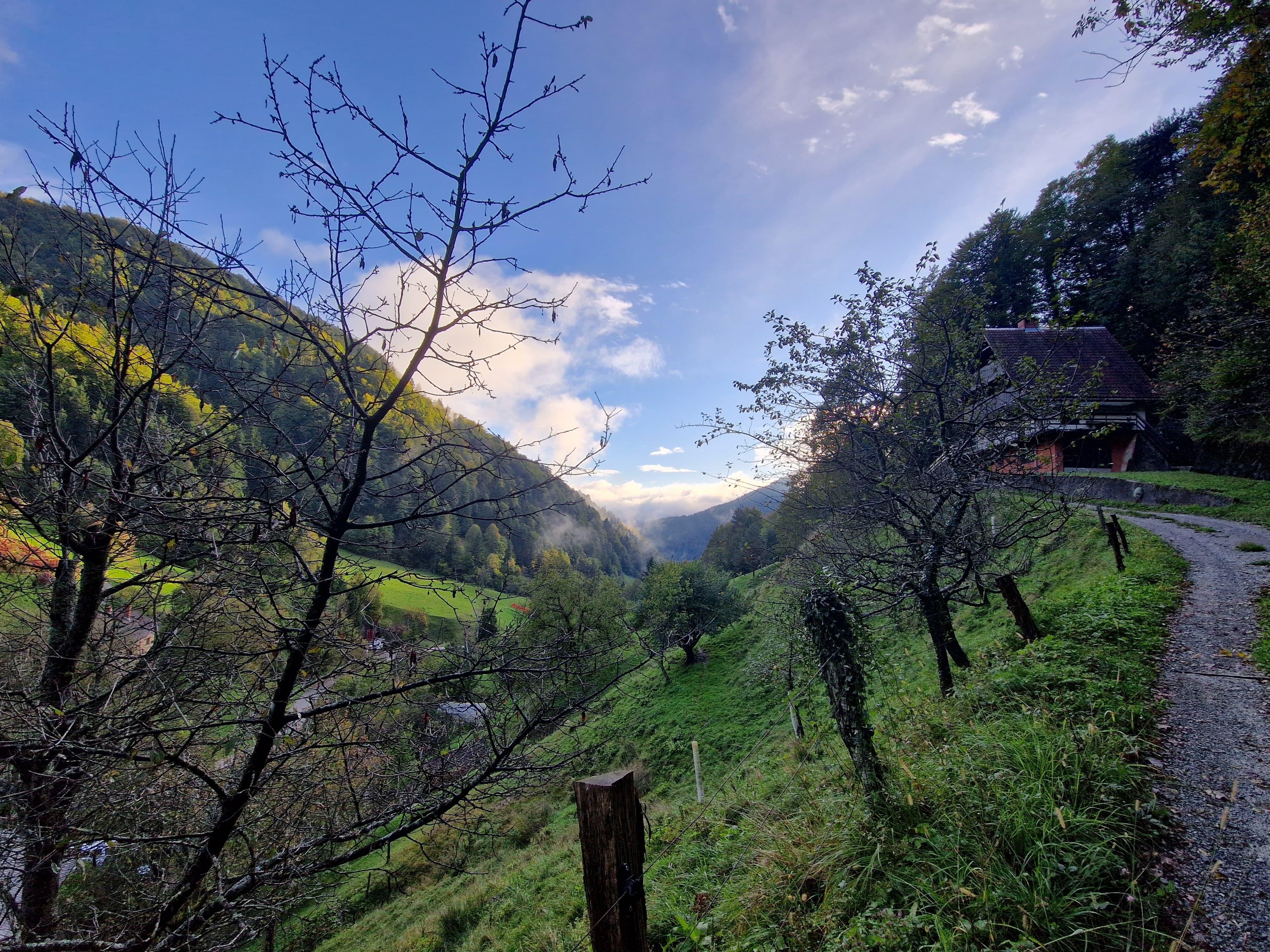 … die letzten 500m finden dann eher so statt. Tolle Lage 😃