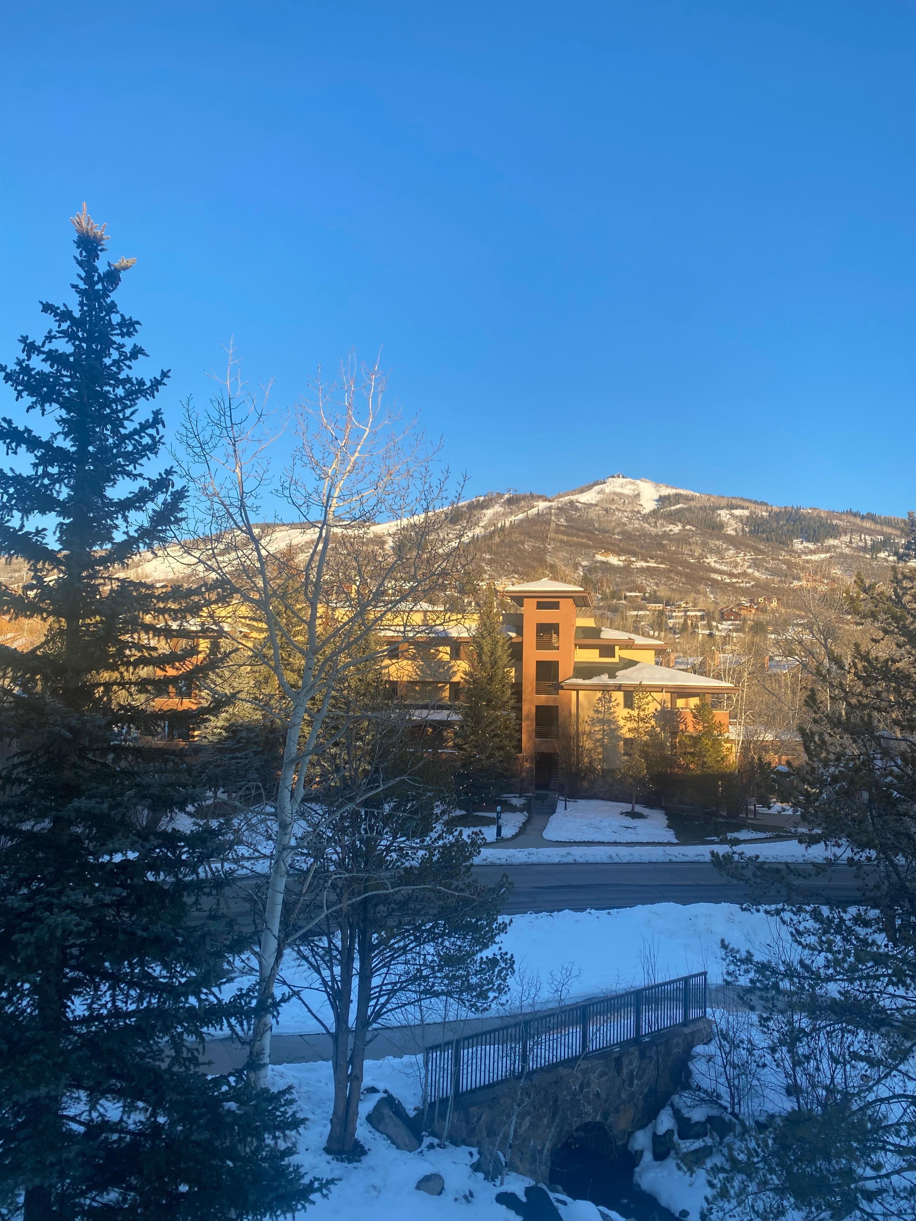 Afternoon glow from front balcony 
