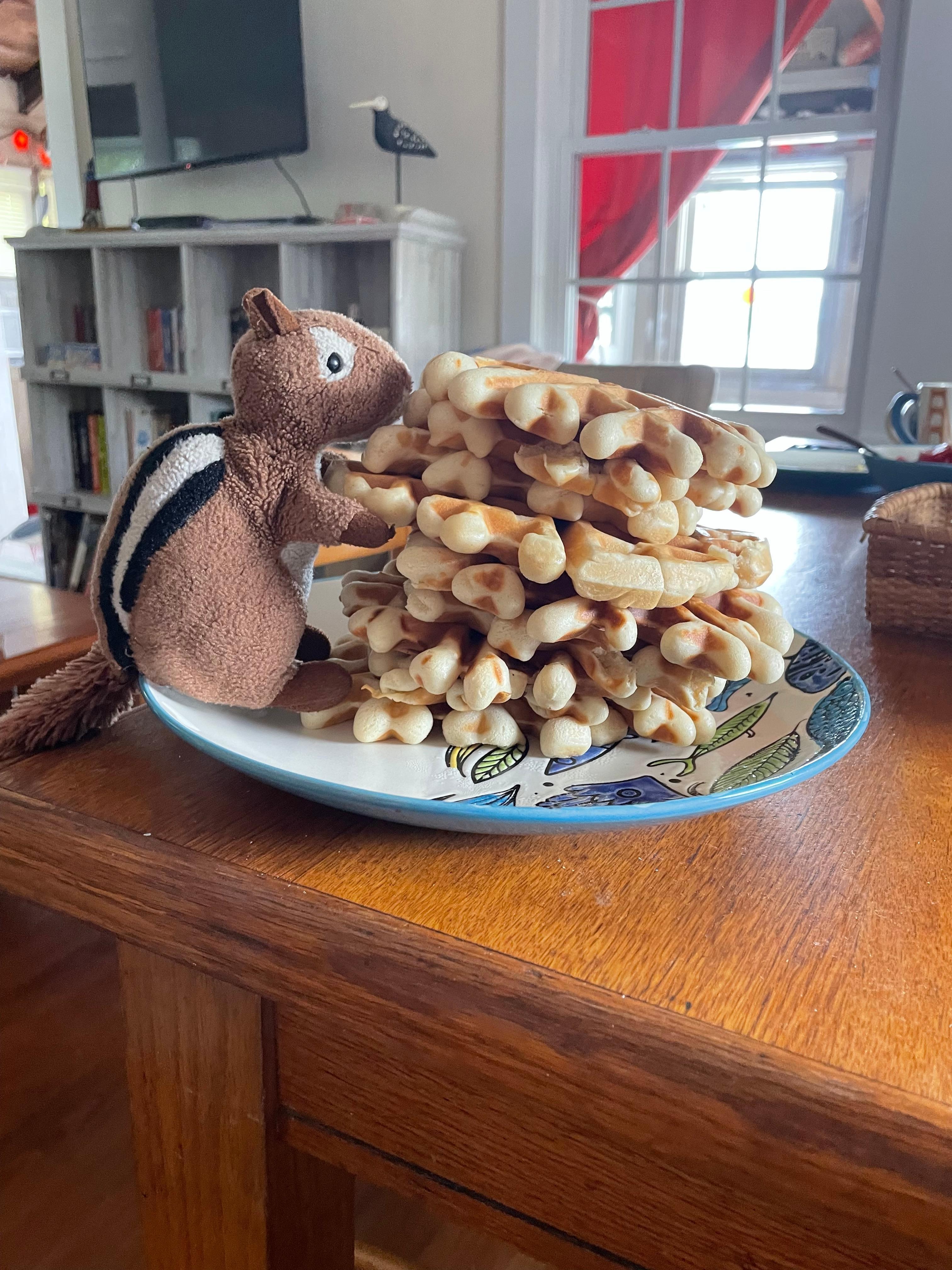 Our four children took turns to make waffles for breakfast. 