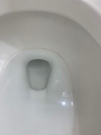 Condition of toilet upon arrival