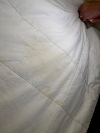 Urine stain