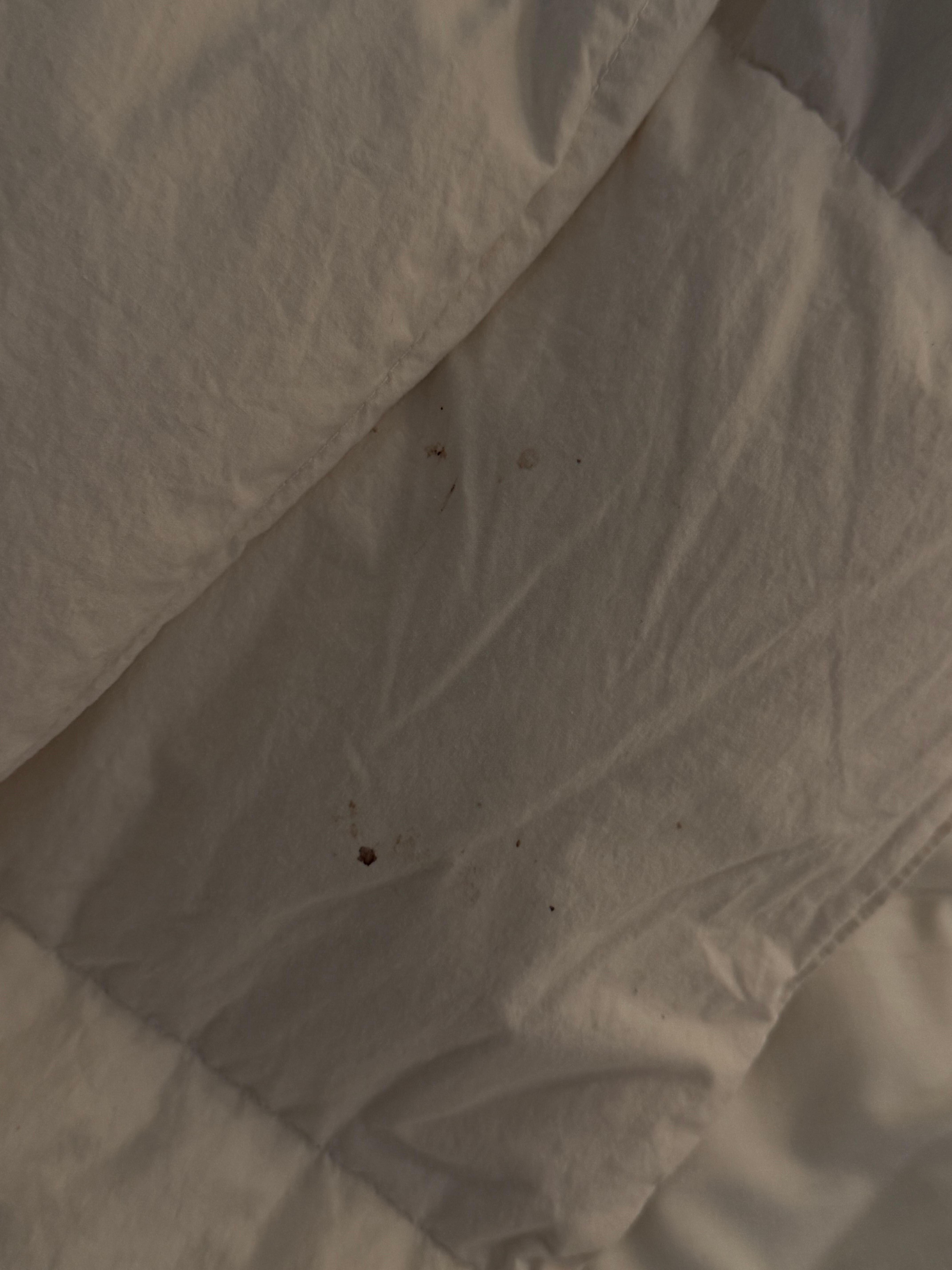 Bedsheet with blood stains