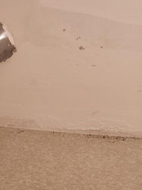 Ceiling in bathroom