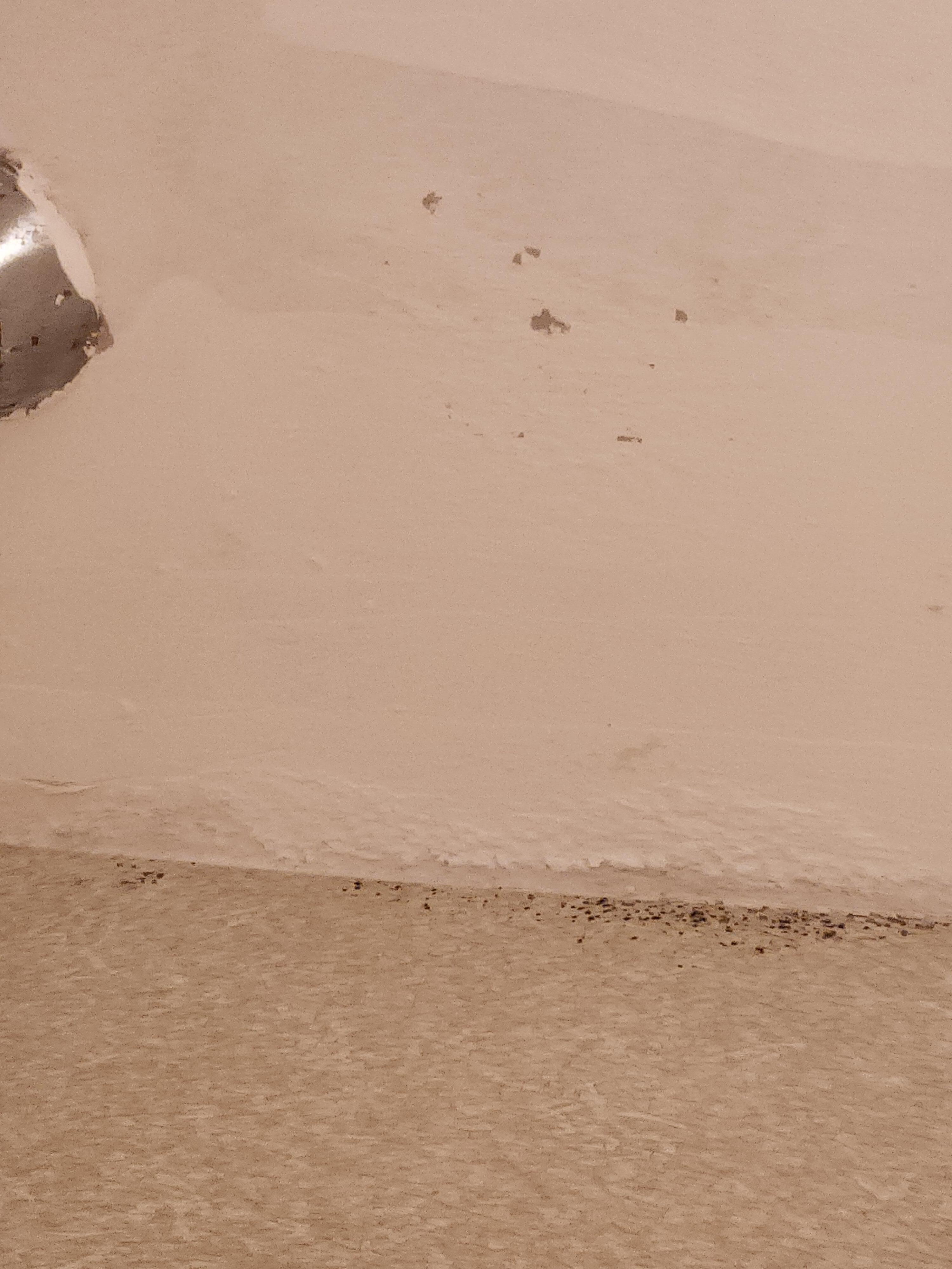 Ceiling in bathroom 