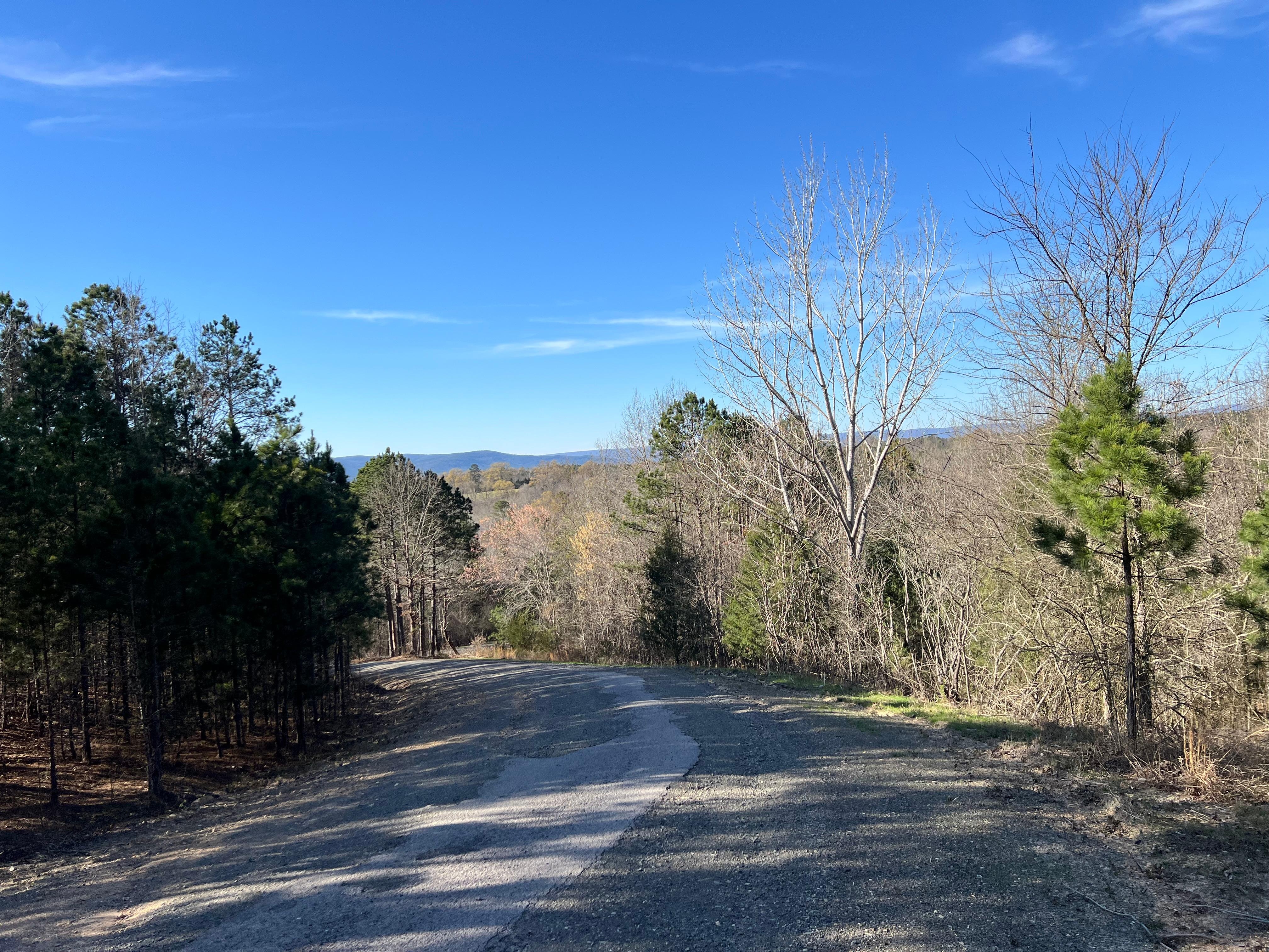 Beautiful road on property leading to driveway…
