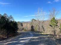 Beautiful road on property leading to driveway…