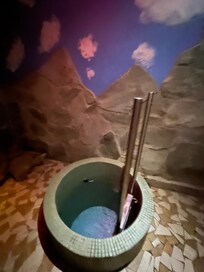 Cold plunge bath