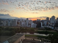 From my window.