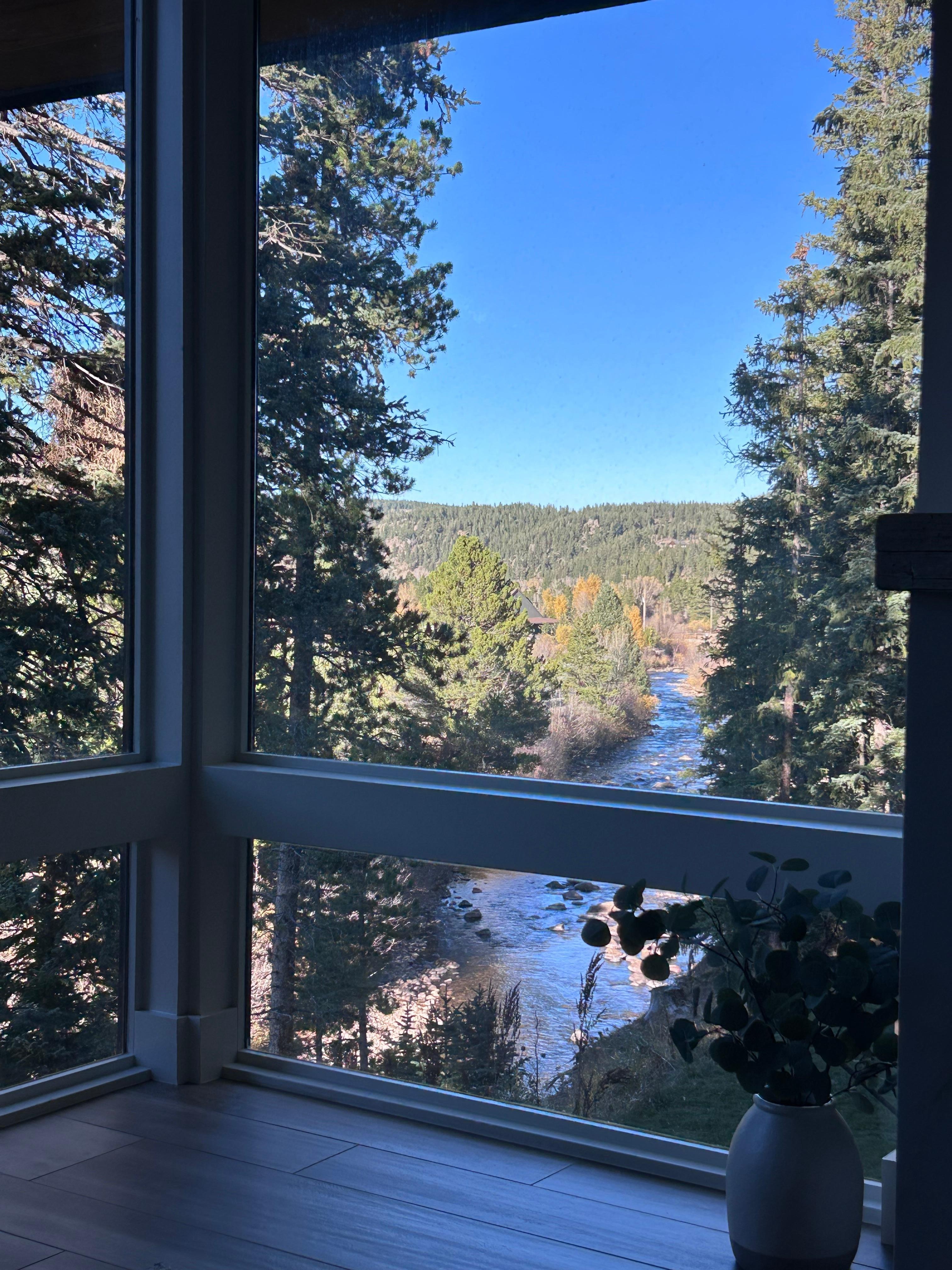 View from the family room