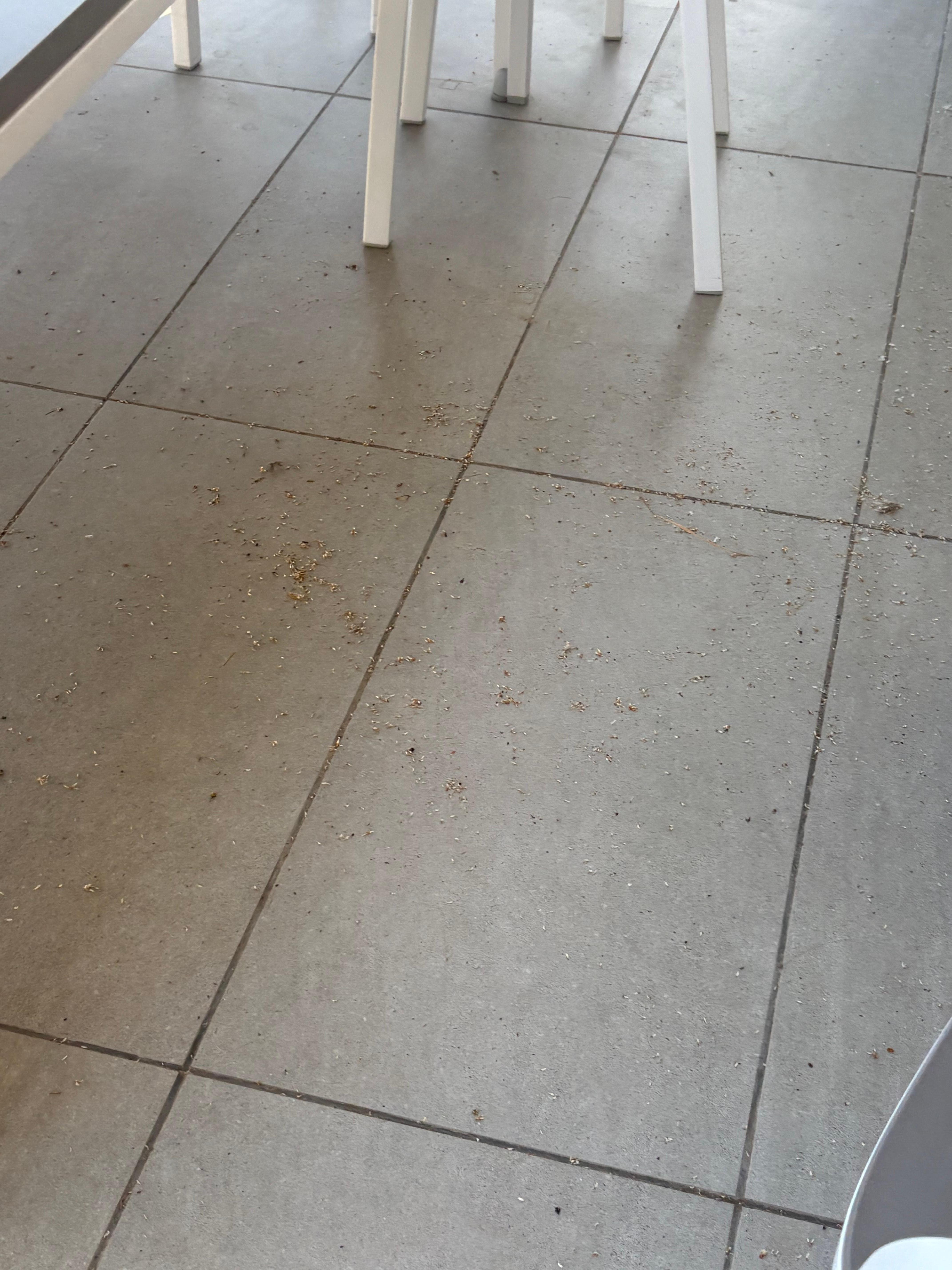 cleaning required at arrival