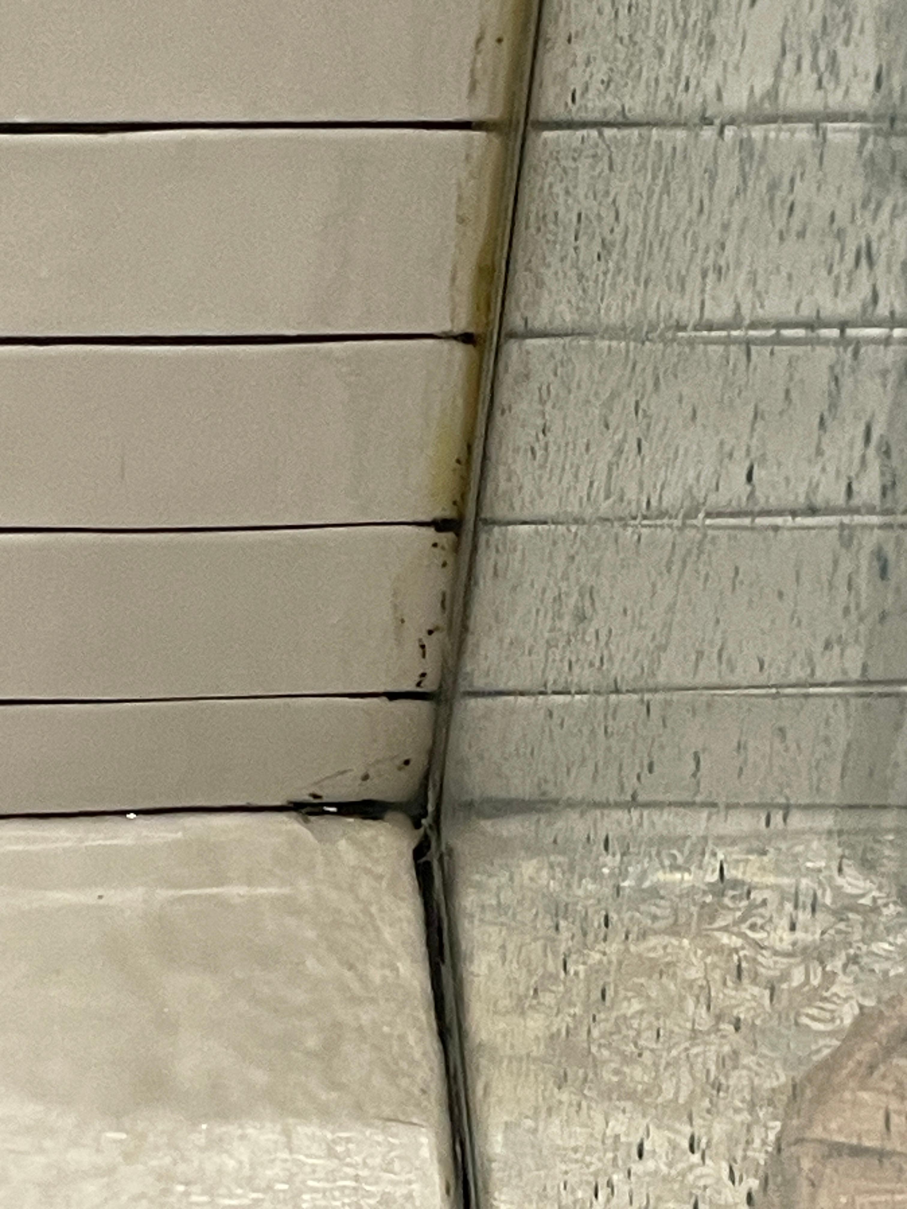 Dettagli del bagno