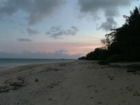 ホテルのすぐ裏手にビーチがあります。