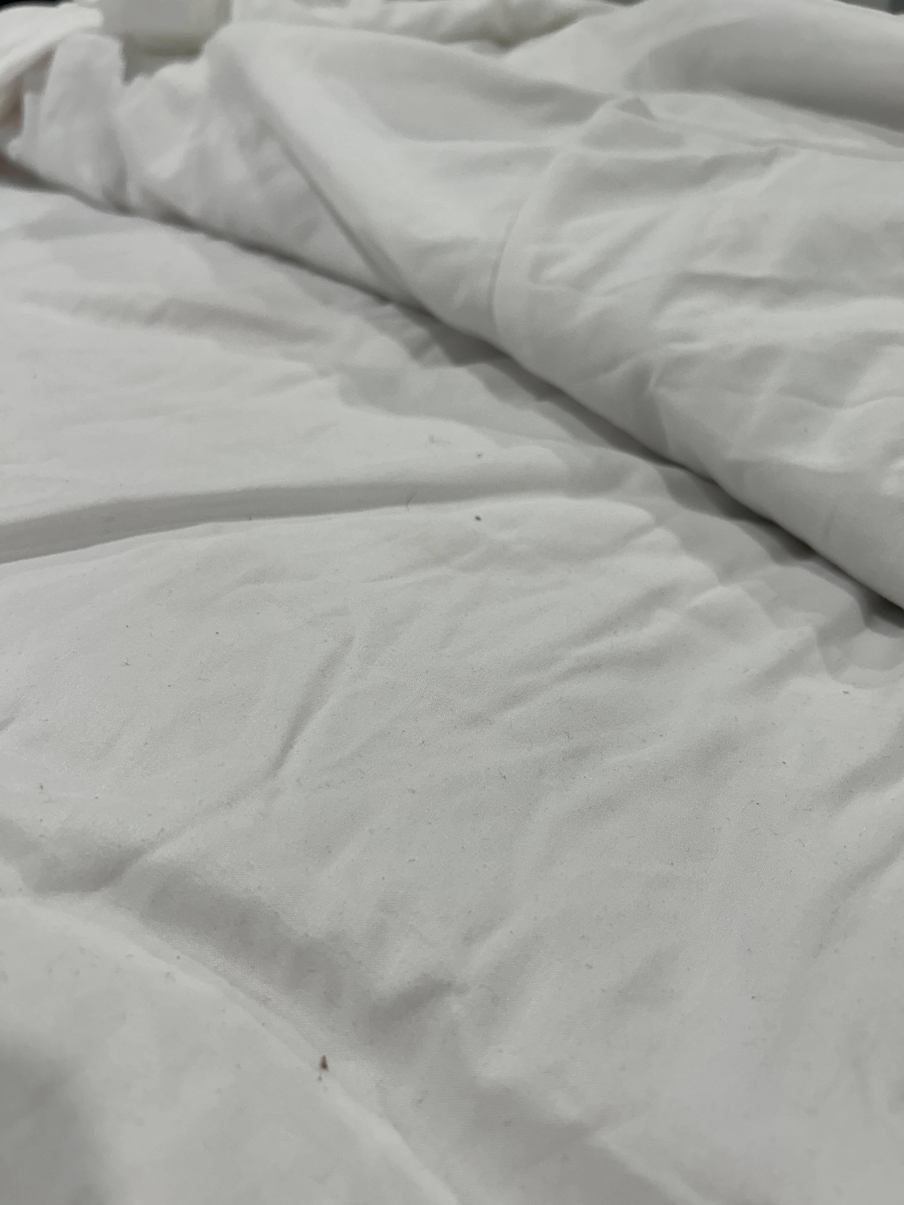 Dirt and hair in beds