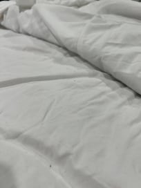 Dirt and hair in beds