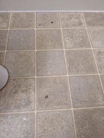 Burn mark on floor in bathroom