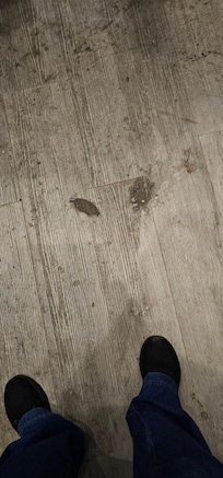 Even elevator had poop