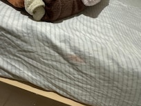 Bed sheets