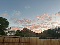 Backyard view