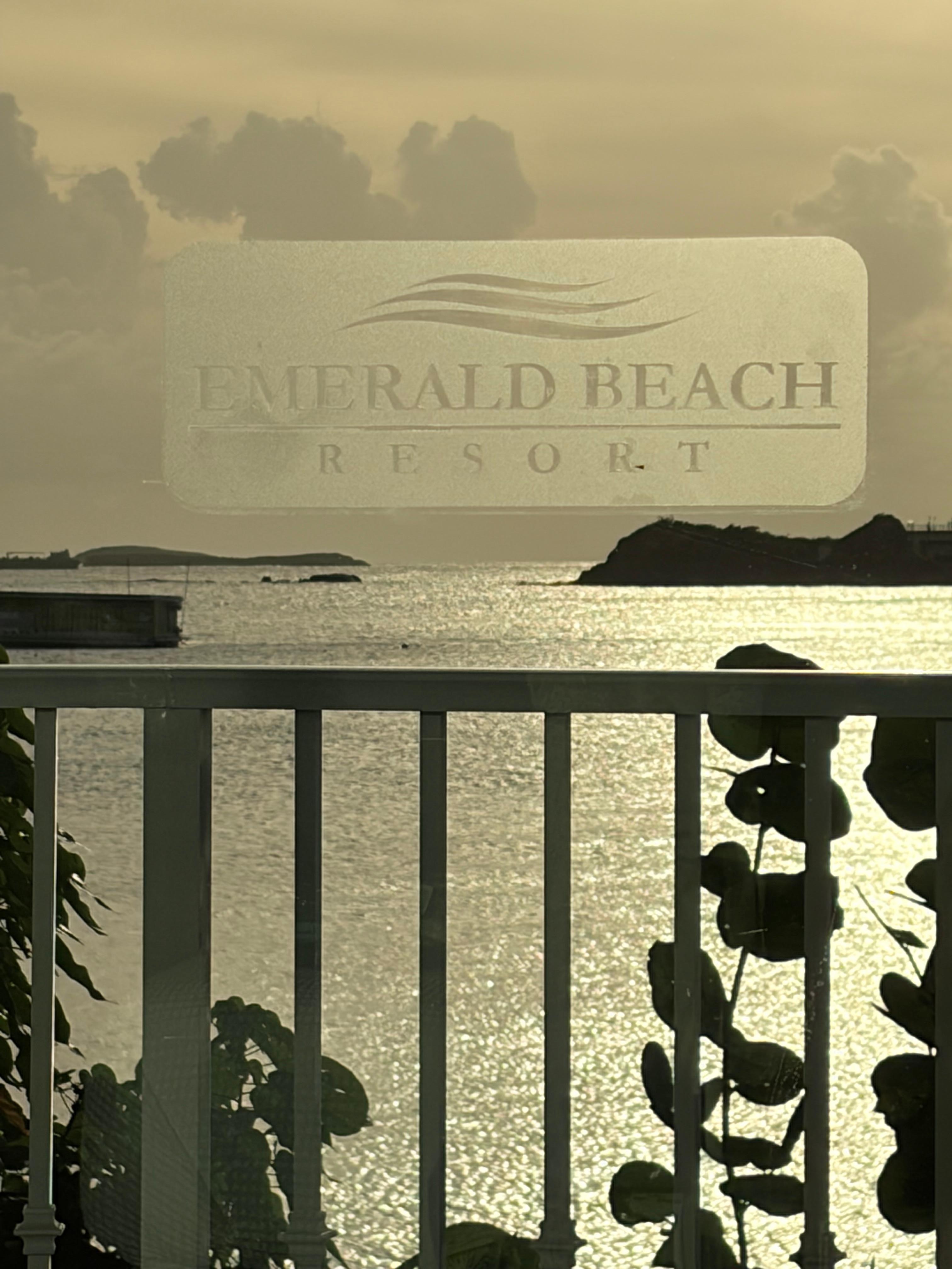 View from my balcony 