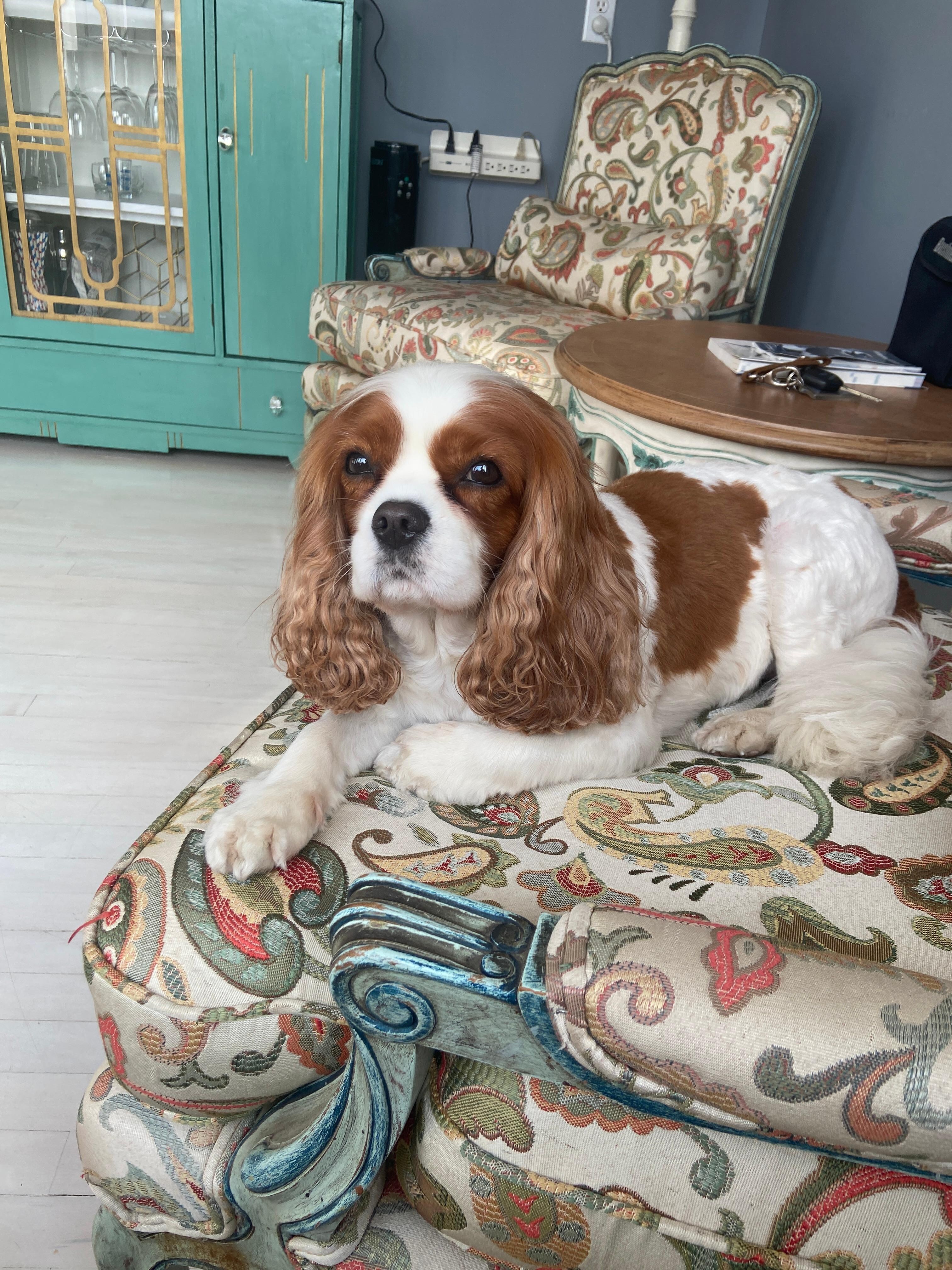 Autumn was also made to feel at home. 