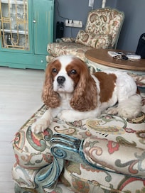 Autumn was also made to feel at home.