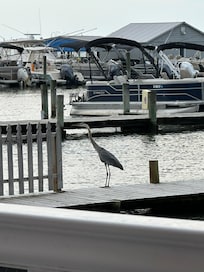 Lovely deck to the bay