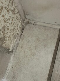 Hair on the bathroom floor