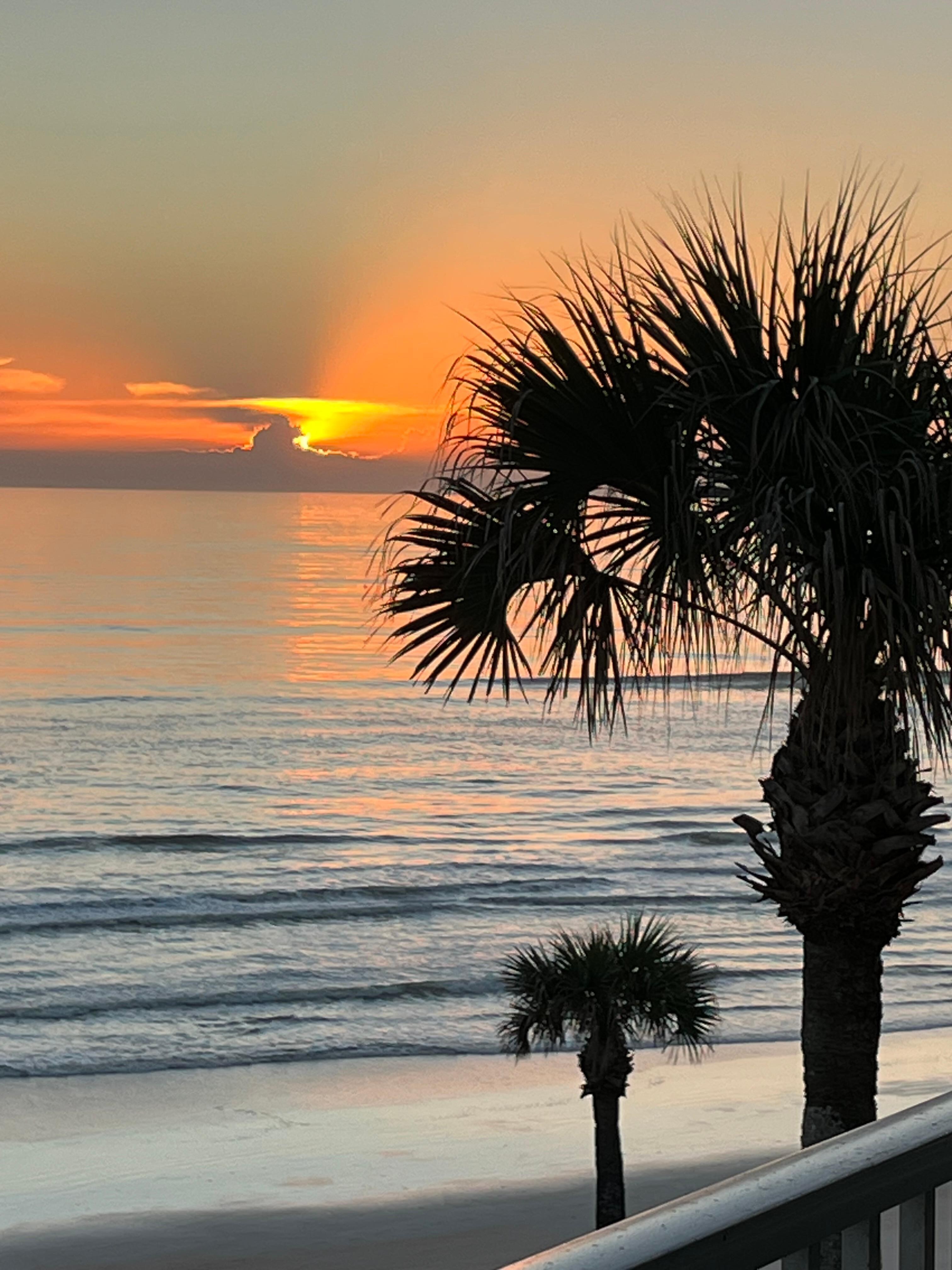 Sunrise, looking south. 