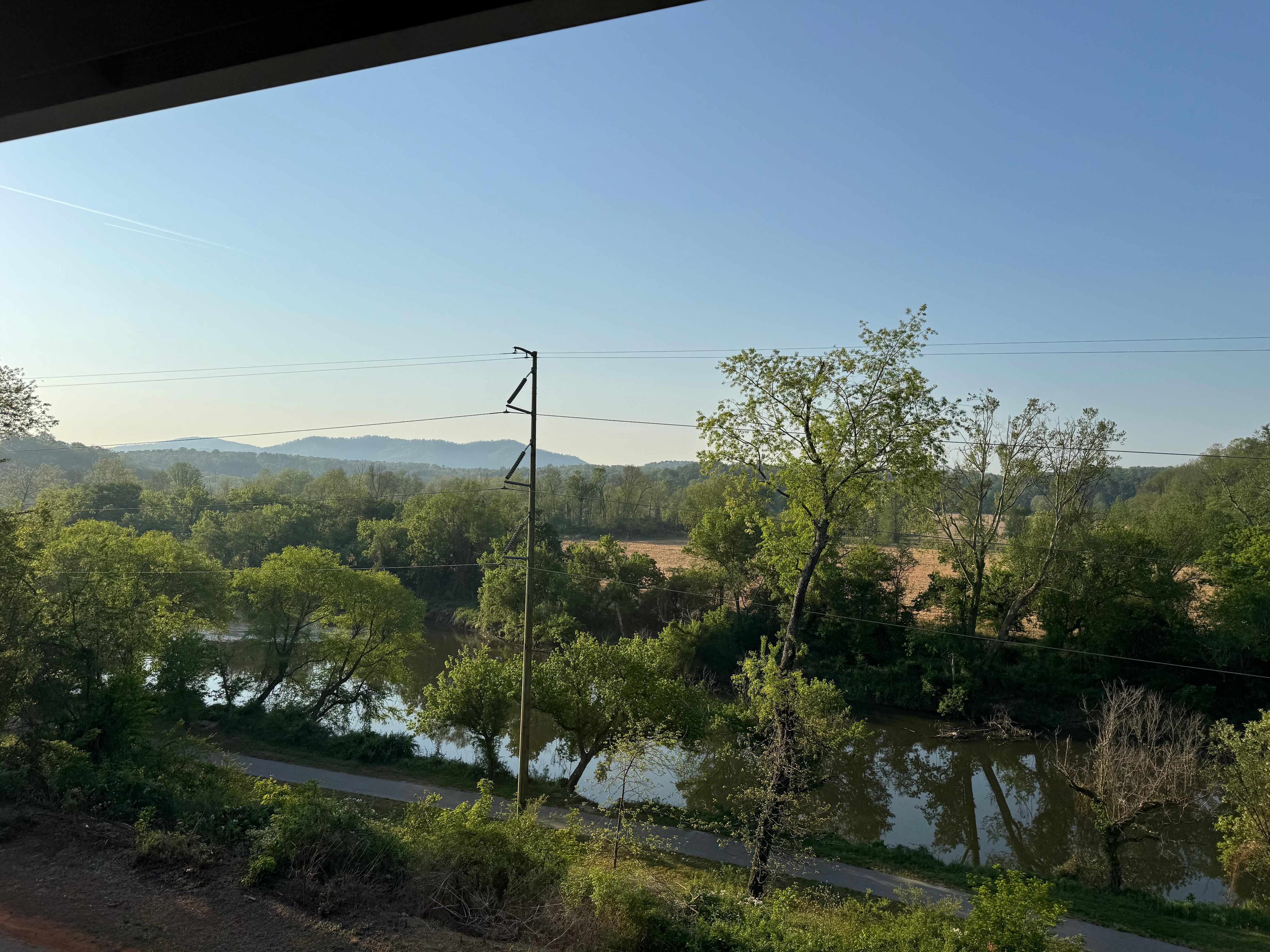 The view from the decks. Great for bird watching.