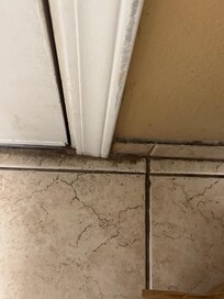 Floor and baseboards in kitchen.