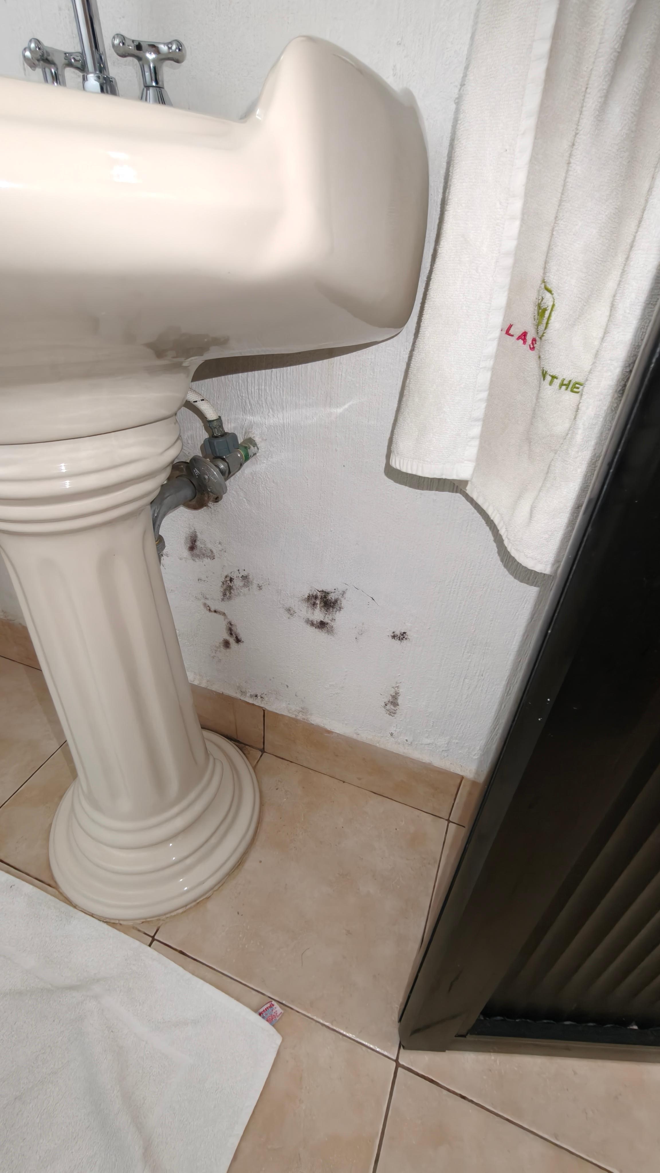 Atrás del lavabo con moho