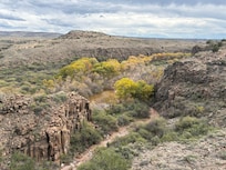 Verde Canyon Train Tour