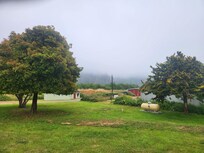 Morning mist from back yard