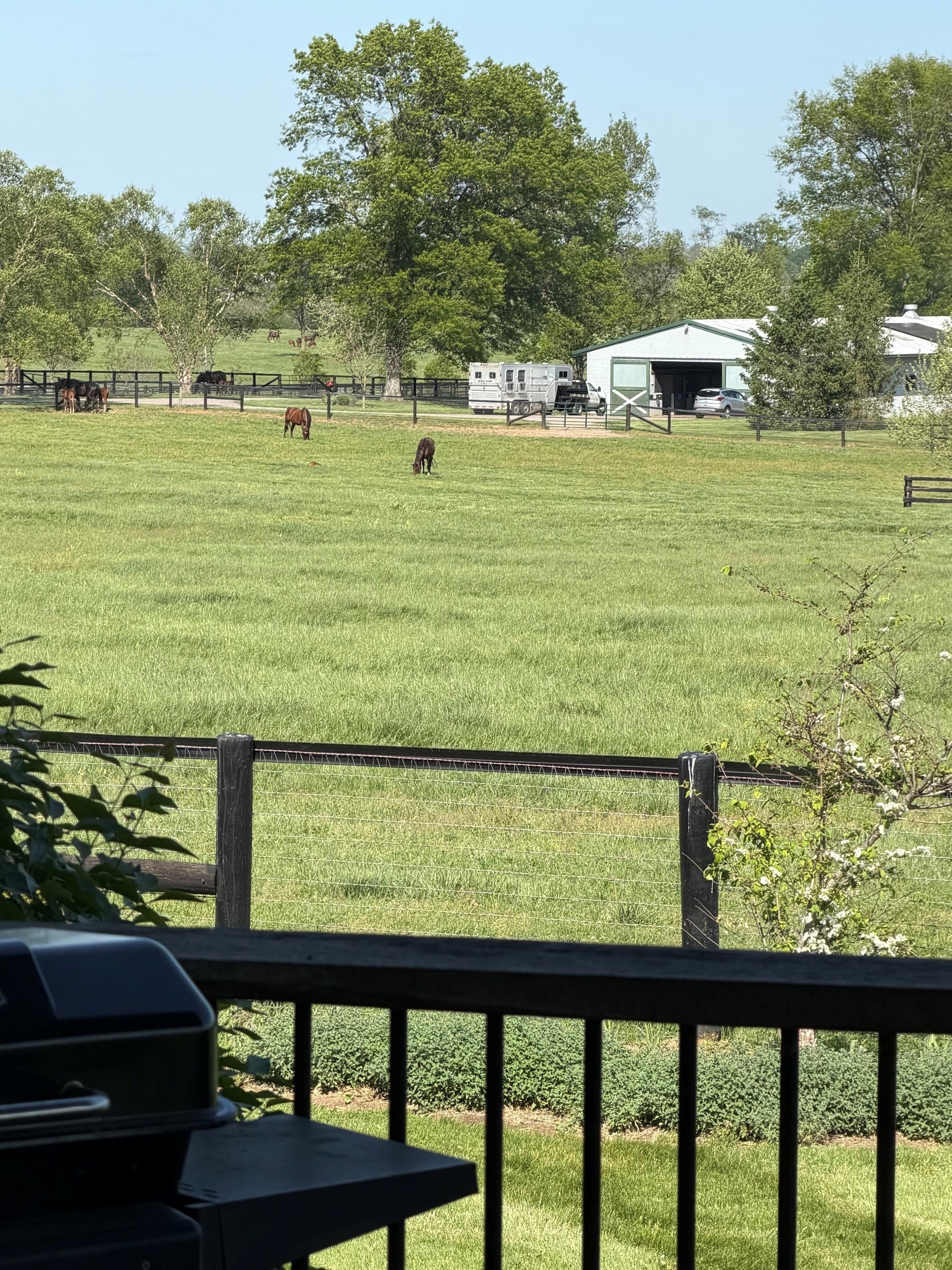 View from the porch