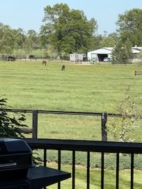View from the porch